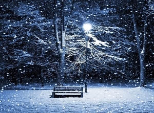 /pliki/zdjecia/zim1 (1).jpg